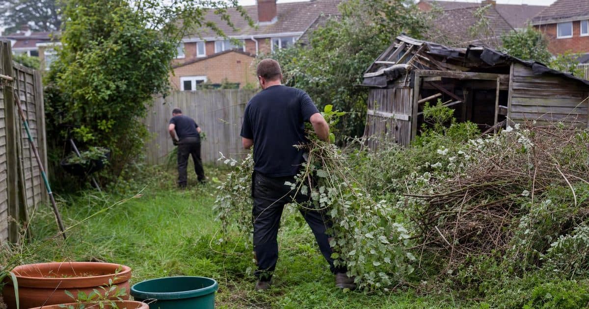 Garden clearance in Eastleigh: a seasonal guide for spring and summer